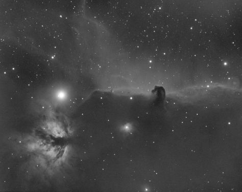 horse nebula.21 bw